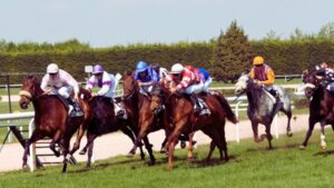 Agenda hippique : événements, guide spectateur & culture turf!